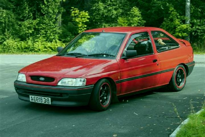 escort Stein