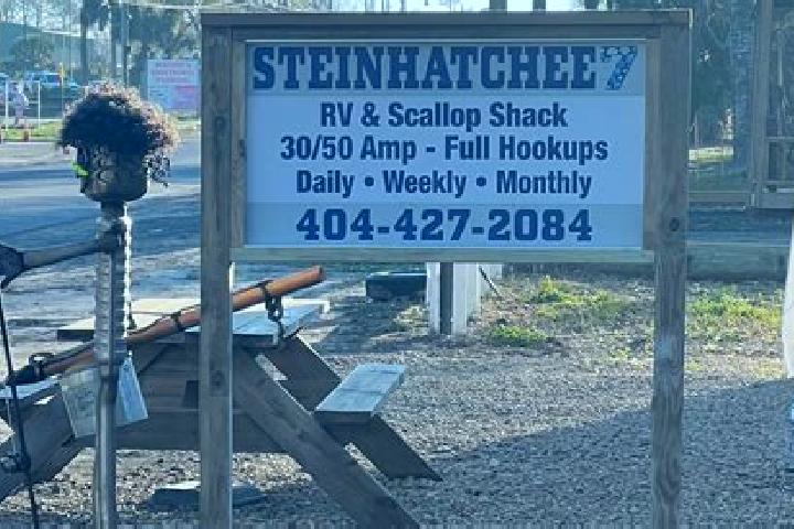 escort Steinhatchee