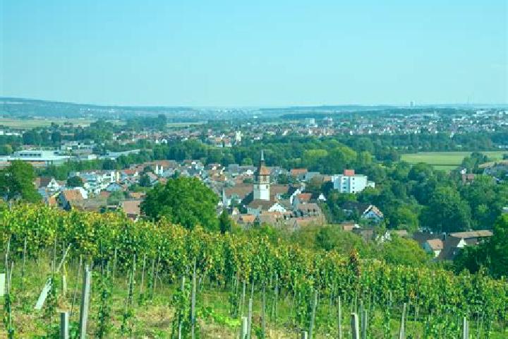 escort Steinheim an der Murr