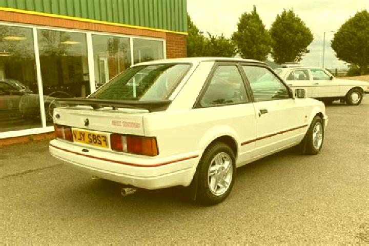 escort Steinrode