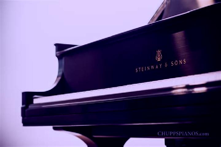 escort Steinway