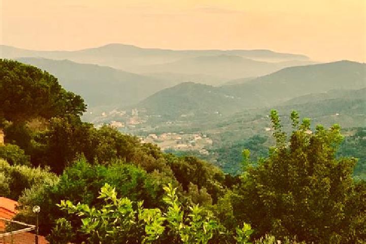 escort Stella Cilento