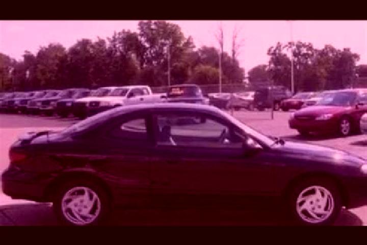 escort Sterling Heights