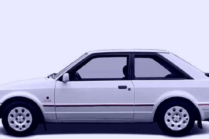 escort Stewiacke