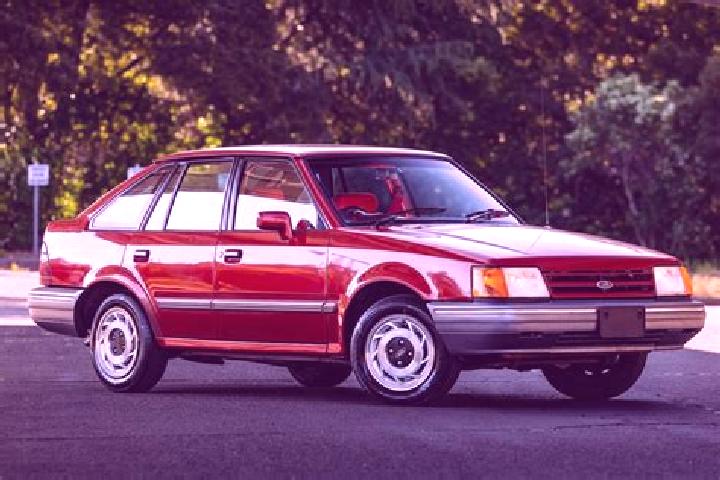 escort Steynton