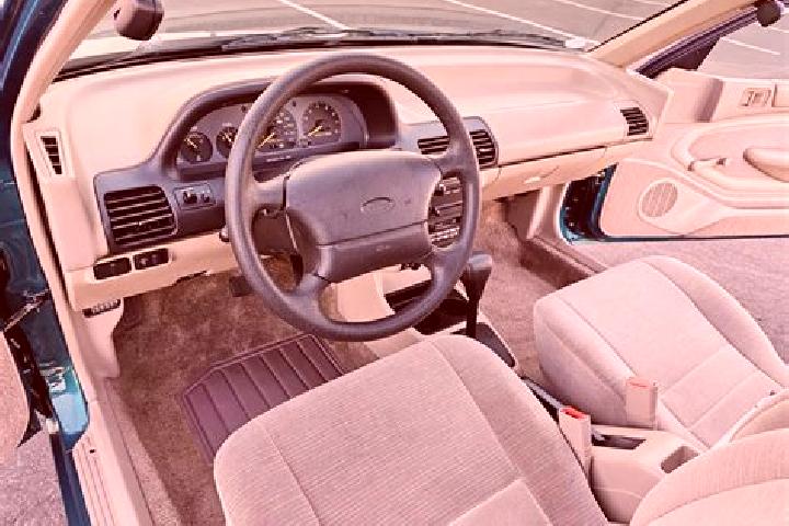 escort Stillington