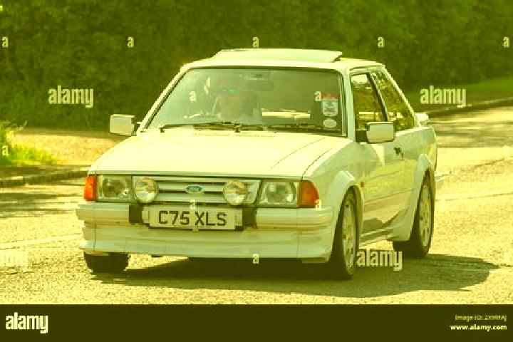 escort Stoke Fleming