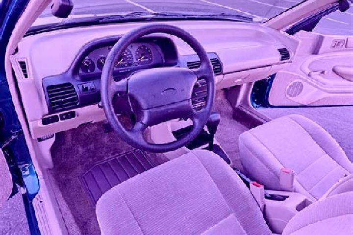 escort Stomio