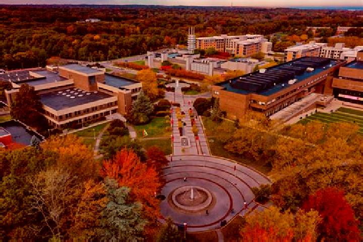 escort Stony Brook