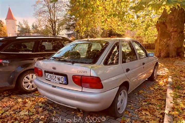 escort Storesti