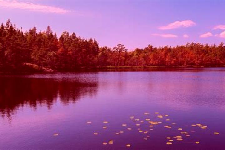 escort Storm Lake
