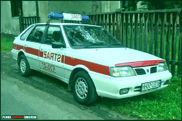 escort Stryszawa