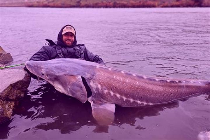 escort Sturgeon