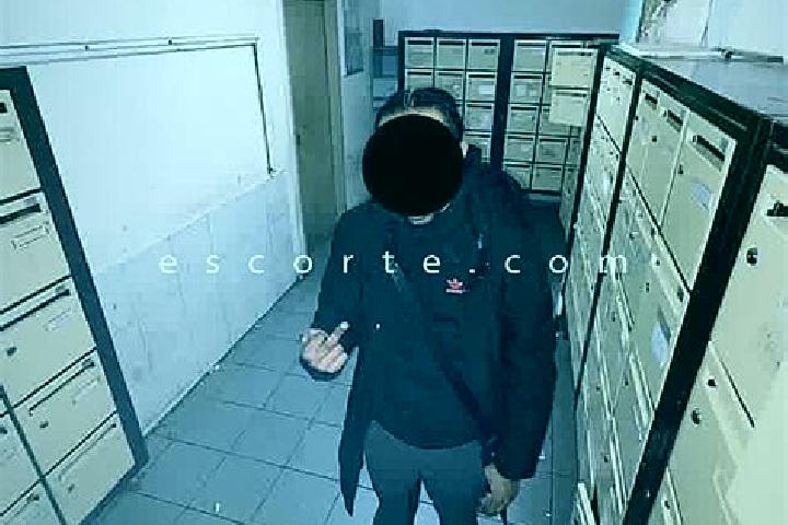 escort Sucre