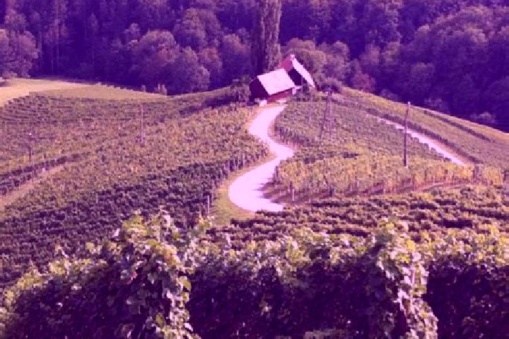 escort Sulztal an der Weinstrasse