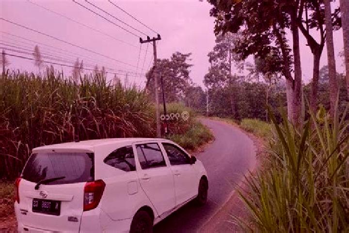 escort Sumbermanjing Wetan