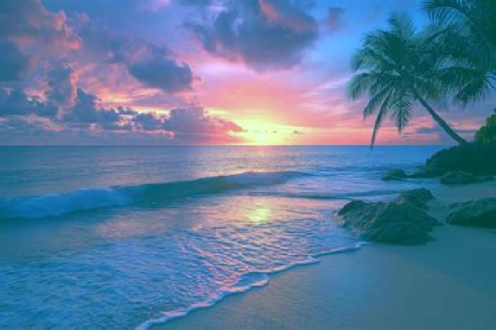 escort Sunset Beach