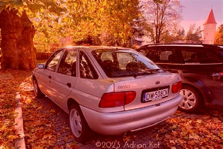 escort Surduk