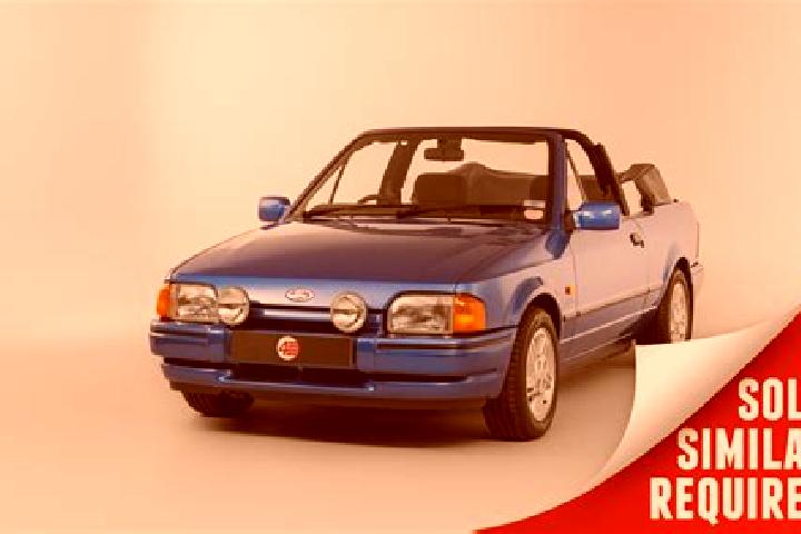 escort Svetlaya