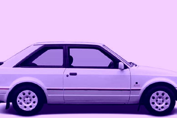 escort Synej
