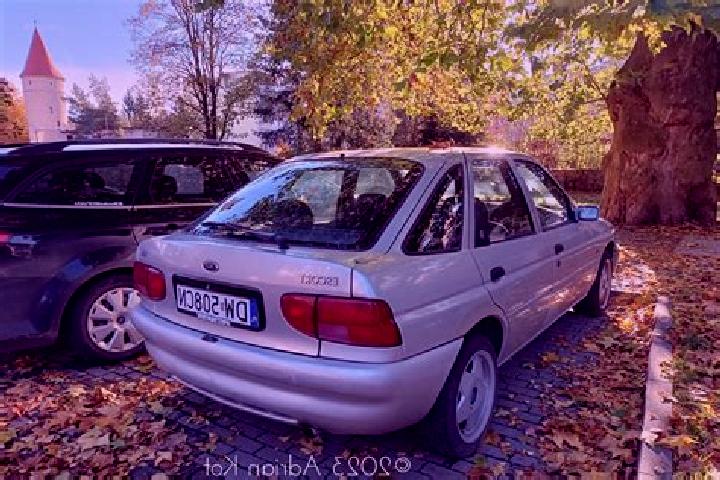 escort Syvik