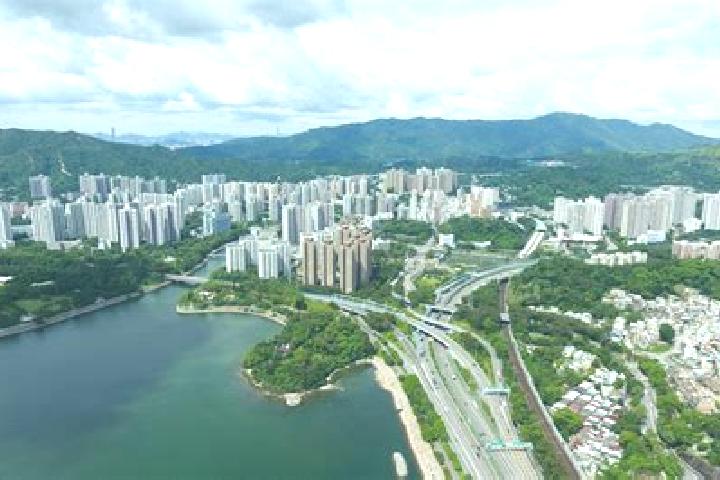 escort Tai Wo