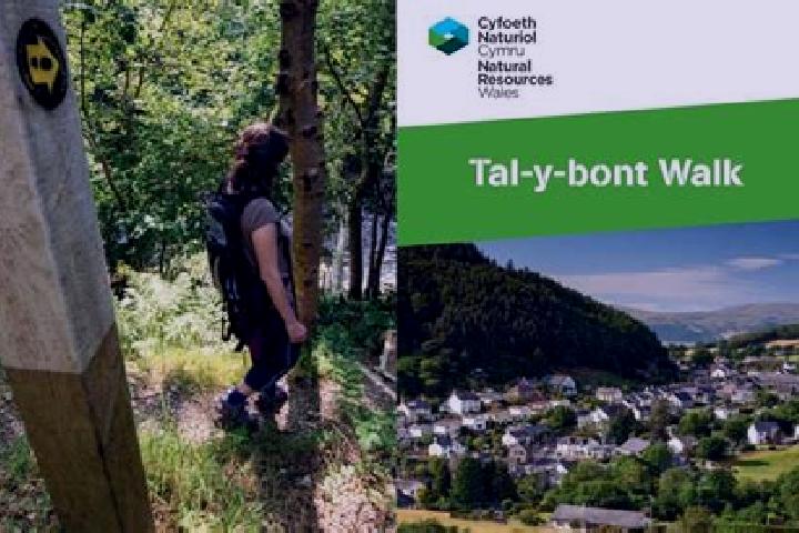 escort Tal-y-bont
