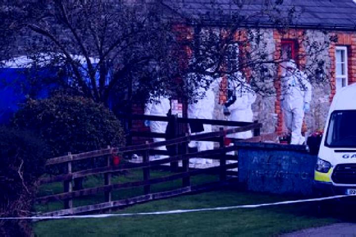 escort Tallanstown