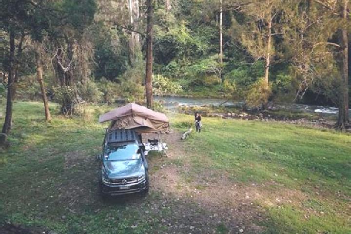 escort Tallebudgera Valley