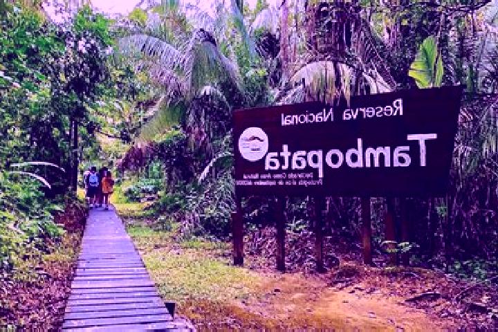 escort Tambopata