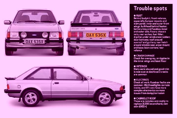 escort Tamiami