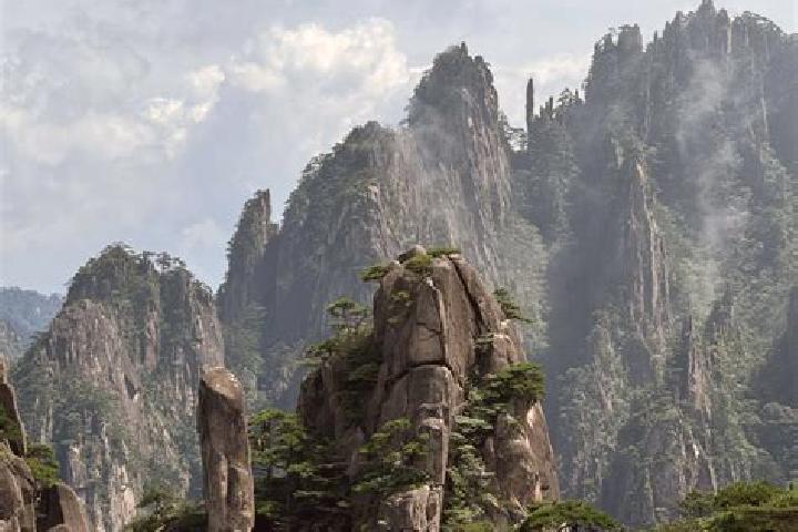escort Tangkou