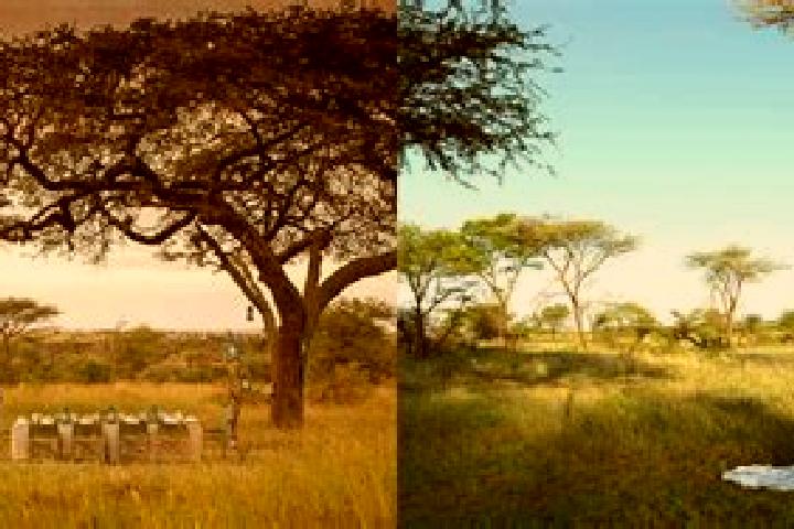 escort Tanzania