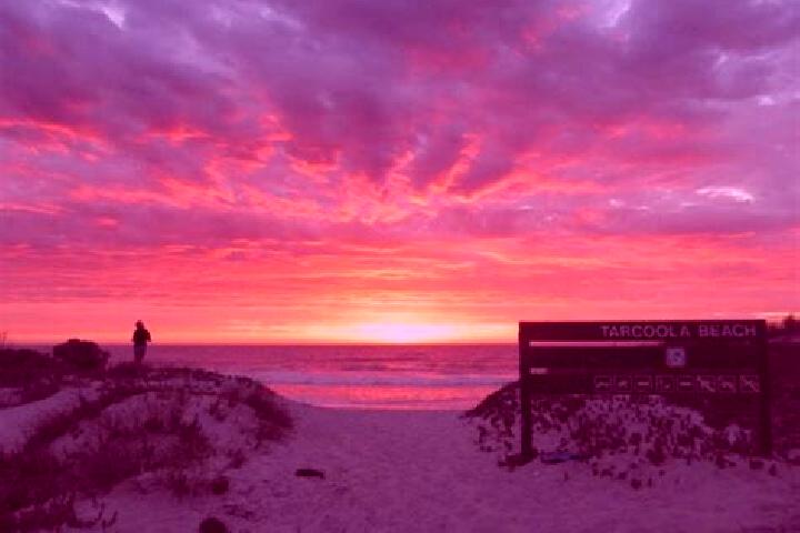 escort Tarcoola Beach