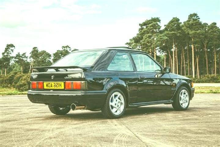 escort Tarub