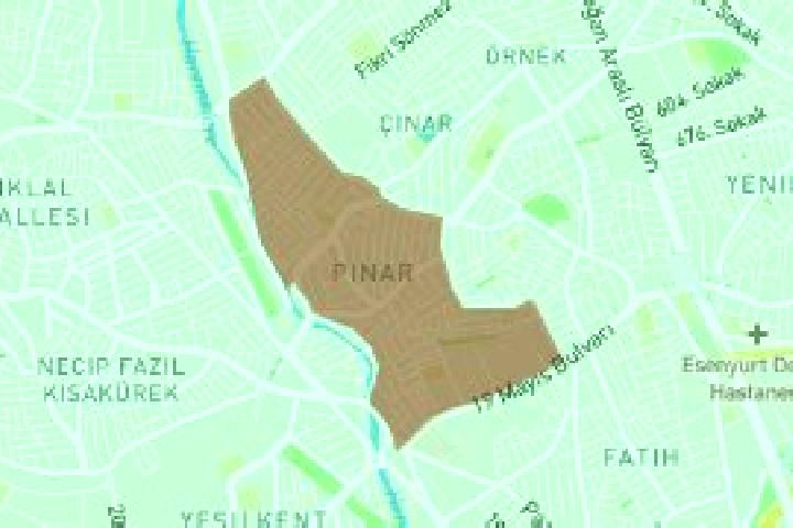 escort Tasli Pinar Mahallesi