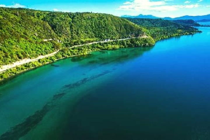 escort Taupo
