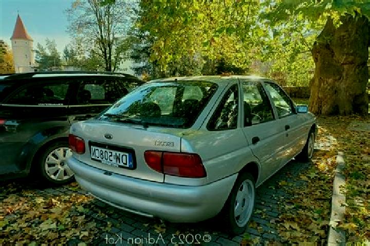 escort Tayga