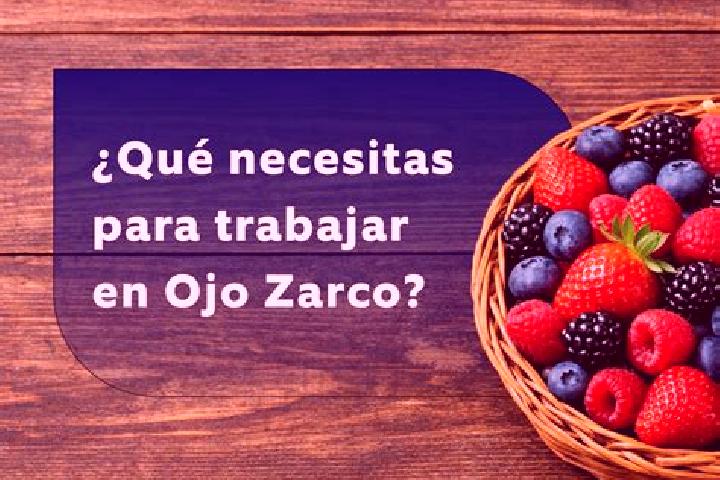 escort Taza de Agua Ojo Zarco