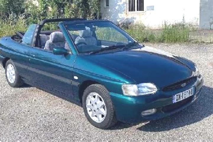 escort Te Poi