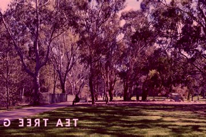 escort Tea Tree Gully