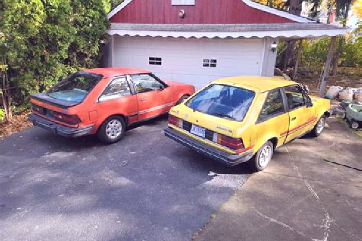 escort Tekoa