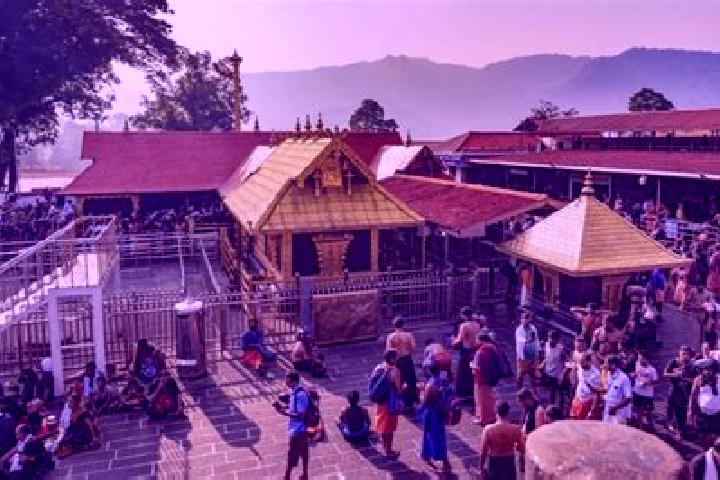 escort Temple View
