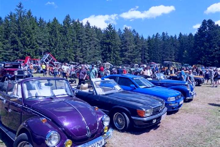escort Tennenbronn