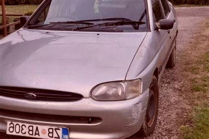 escort Teplaya Gora