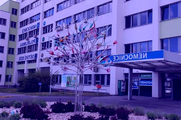 escort Teplice nad Metuji