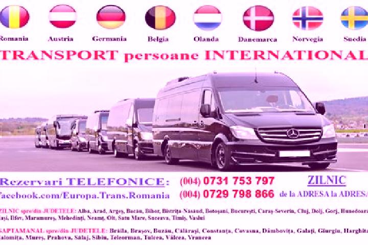 escort Teremia Mare