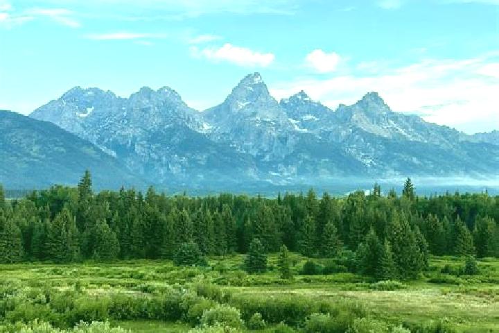 escort Teton