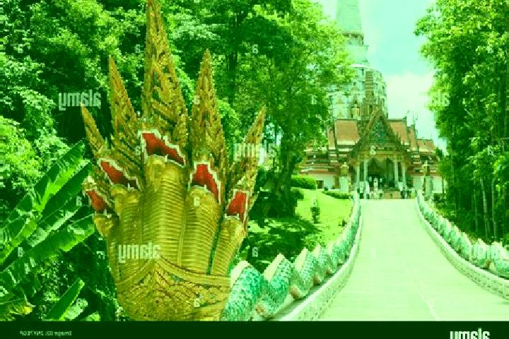 escort Thap Put