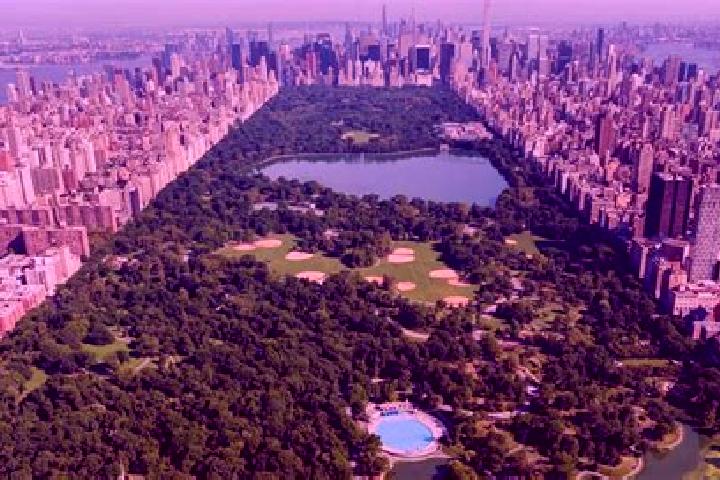 escort The Central Park